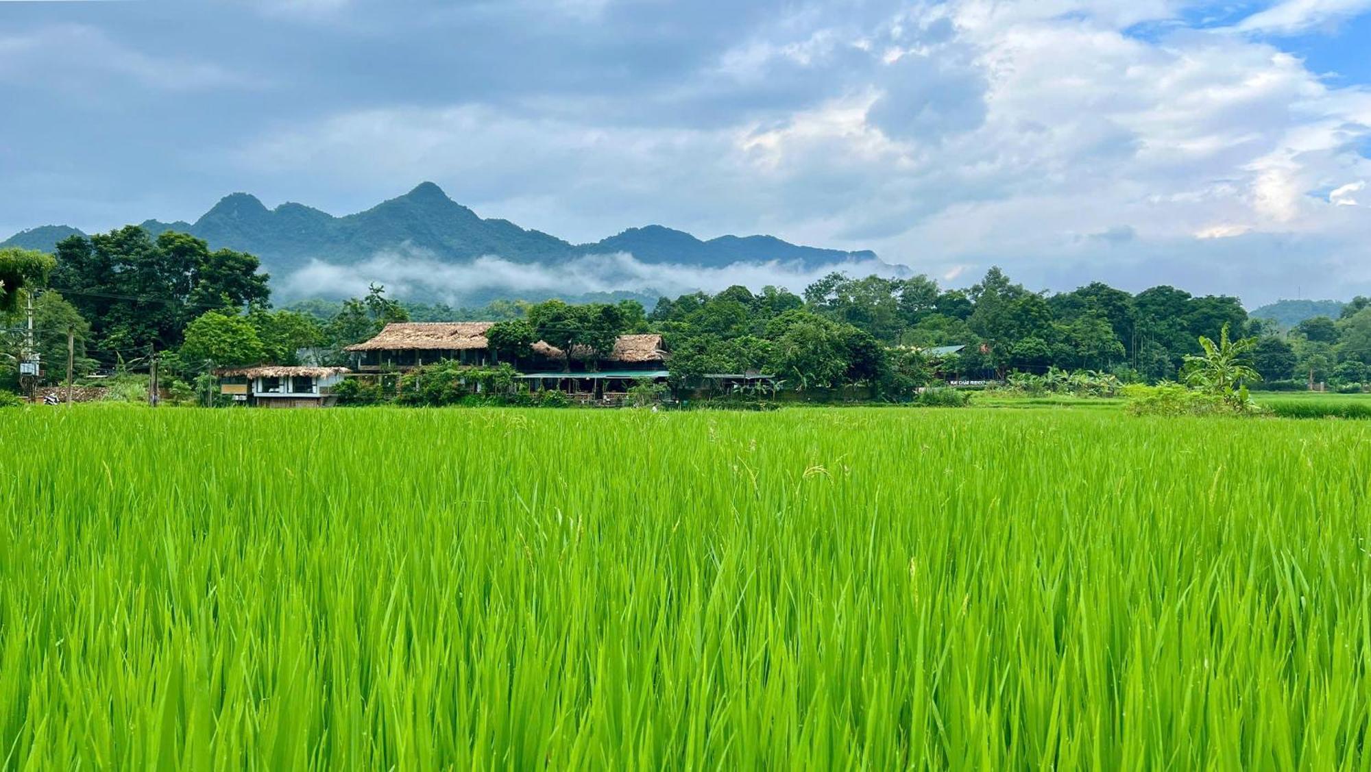 Mai Chau Sky Resort Εξωτερικό φωτογραφία